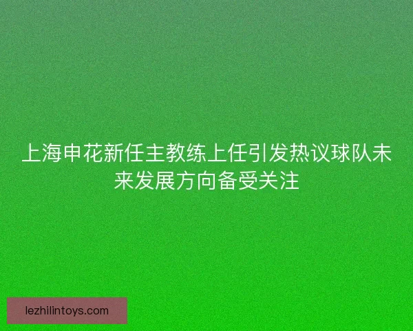 上海申花新任主教练上任引发热议球队未来发展方向备受关注 上海申花新任主教练上任引发热议球队未来发展方向备受关注