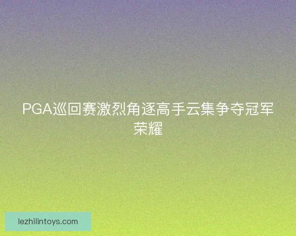 PGA巡回赛激烈角逐高手云集争夺冠军荣耀 PGA巡回赛激烈角逐高手云集争夺冠军荣耀