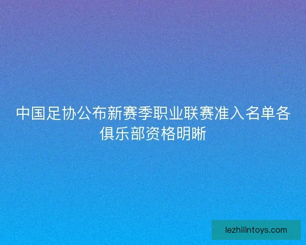 中国足协公布新赛季职业联赛准入名单各俱乐部资格明晰