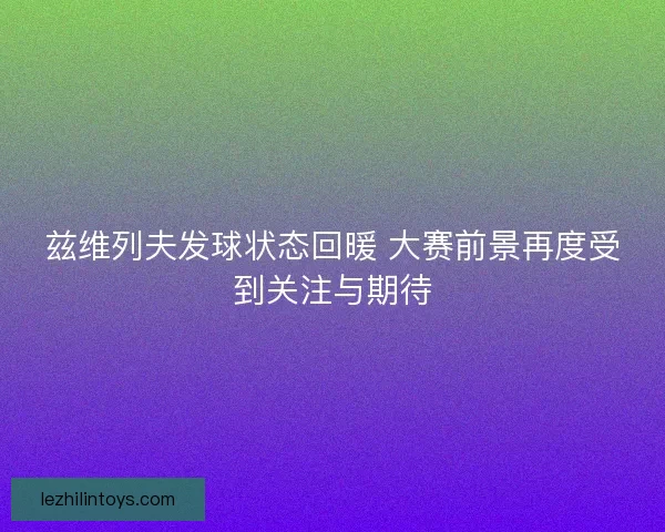 兹维列夫发球状态回暖 大赛前景再度受到关注与期待